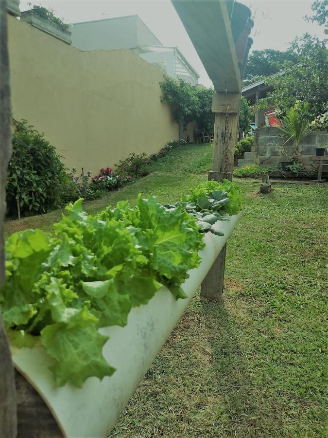 Nossa Casinha Atibaia - Linda Vista Pra Pedra Grande Villa Esterno foto